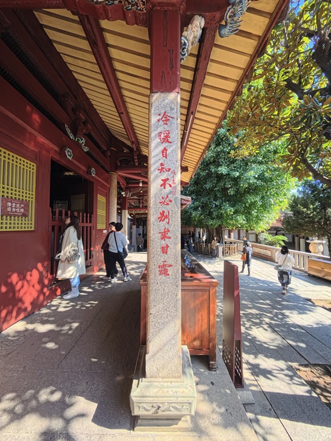 插入图片